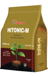 Hitonic-M