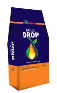 Gold Drop