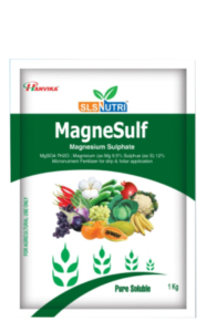 MagneSulf