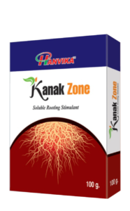 Kanak Zone